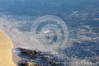 Transparent sea water and sandy beach contaminated with fish oil from fish factory. Ecology problem of environment pollution. Stock Photo