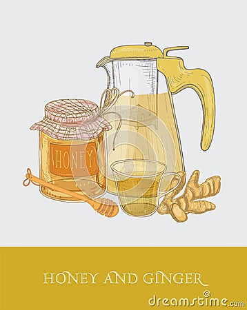 Transparent teapot or pitcher with strainer, cup of tea, jar of honey, ginger root and dipper hand drawn in vintage Vector Illustration