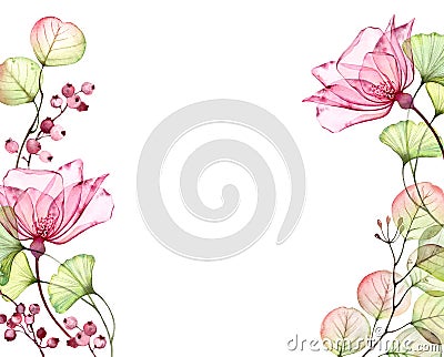 Transparent watercolor rose. Horizontal floral background with place for text. Isolated hand drawn borders with big Stock Photo