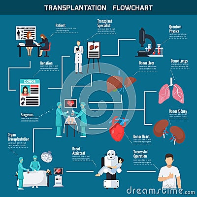 Transplantation Flowchart Layout Vector Illustration