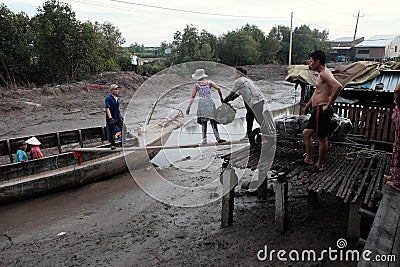 Transport charcoal, Ca Mau, Viet Nam Editorial Stock Photo