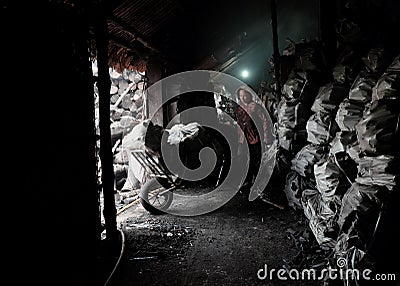 Transport charcoal, Ca Mau, Viet Nam Editorial Stock Photo