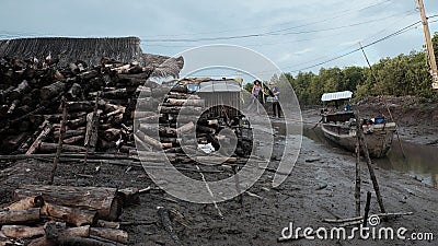 Transport charcoal, Ca Mau, Viet Nam Editorial Stock Photo