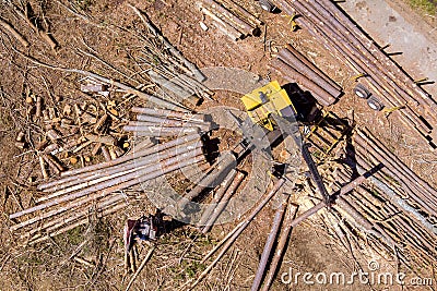 Transport of forest logging industry forestry industry on crane in loading logs the truck Stock Photo
