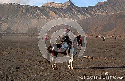 Transportation in Bromo mountain Editorial Stock Photo