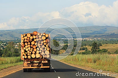 Transportation of Logs Stock Photo