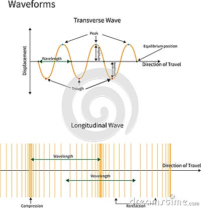 Transverse and Longitudinal Waves Vector Illustration