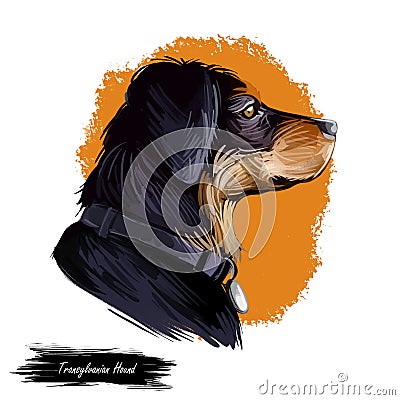 Transylvanian or Hungarian Hound dog breed portrait isolated on white. Digital art illustration, animal watercolor drawing of hand Cartoon Illustration