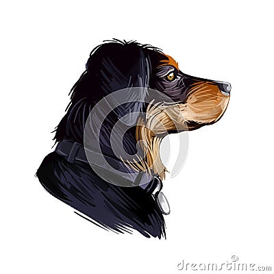 Transylvanian or Hungarian Hound dog breed portrait isolated on white. Digital art illustration, animal watercolor drawing of hand Cartoon Illustration