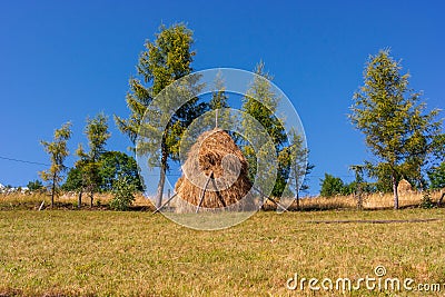 Transylvanian mountains with typical bales on the hillside, Bihar mountains, Carpathian mountains Stock Photo