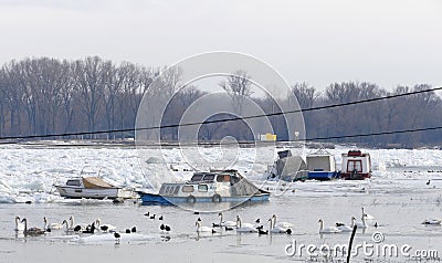 Trapped boats into the frozen Danube river Editorial Stock Photo