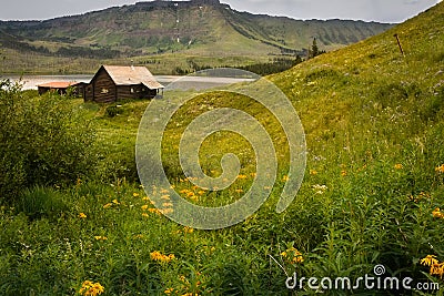 Trappers Lake Old Mountain Cabin With Orange Wildflowers Stock Photo