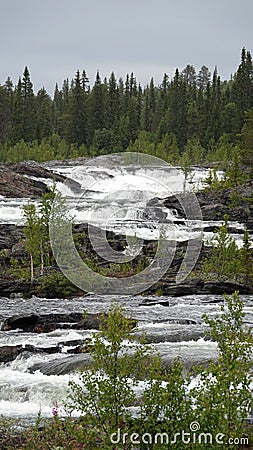 Trappstegsforsen waterfall on the Wilderness Road in Vasterbotten, Sweden Stock Photo