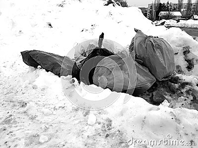 Trash and garbage bags on snow Stock Photo