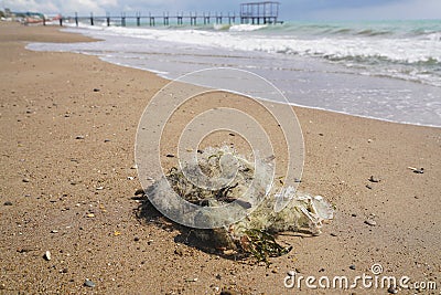 Trash net and litter at the Mediterranean sea beach Stock Photo