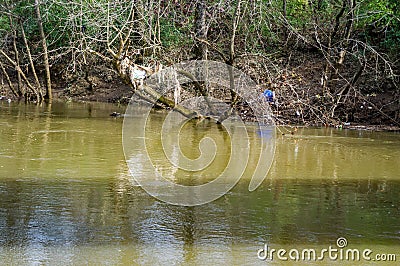 Trash in Tinker Creek Greenway Stock Photo