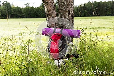 Travel backpack by the tree. Outdoor wanderlust items. Travel, tourism and camping equipment. Summer hiking and trekking tools Stock Photo