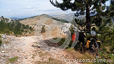 Travel bicycle near the pine tree in the Dinaric Alps. Stock Photo