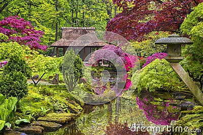 Travel Concepts. Amazing Picturesque Scenery of Japanese Garden Stock Photo