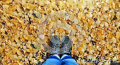 Travel in Fall and Autumn Concept. Top view of person in Blue Jeans and Adventure Shoes standing over full of Yellow Leaves Stock Photo