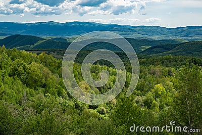 Travel landscape. Hill or mountain coutntryside. Grassy scenic view. Wood at nature panorama. Stock Photo