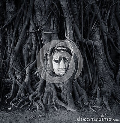 Travel to Thailand, Ayutthaya. Old tree Buddha stone sculpture. Stock Photo