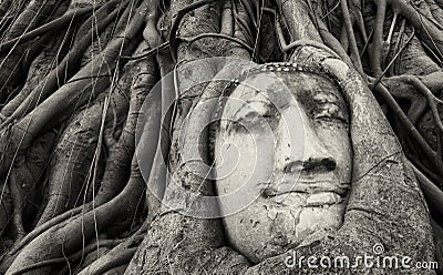 Travel to Thailand, Ayutthaya. Old tree Buddha stone sculpture. Stock Photo