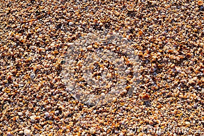Travel tourism seaside vacation sand shell beach Stock Photo