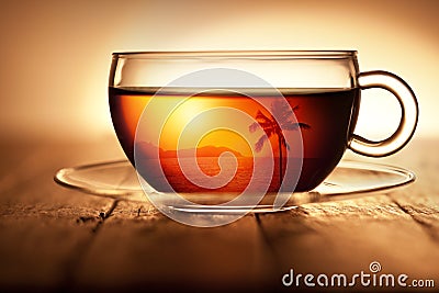 Tea Cup Travel Tropical Coffee Background Stock Photo