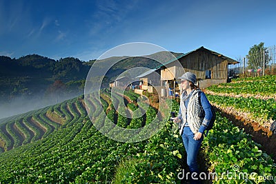 Travele holding camera at beautiful strawberry farm Stock Photo