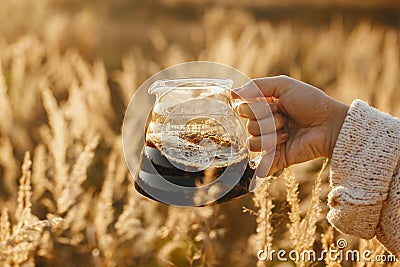 Traveler holding fresh hot coffee in glass flask on background of sunny warm light in rural herbs. Alternative coffee brewing Stock Photo