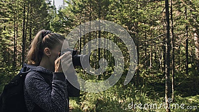 Traveler photographing scenic view in forest. One caucasian woman shooting nice magic look. Girl take photo video on Stock Photo