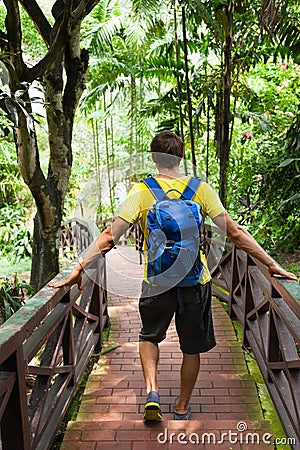 Traveler rear view backpack walk jungle green Stock Photo