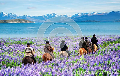 Traveler ride horse at Lake Tekapo, New Zealand Editorial Stock Photo