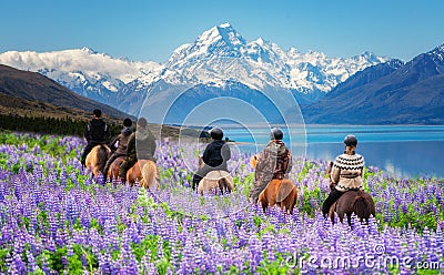 Traveler ride horse at Mt Cook, New Zealand. Editorial Stock Photo