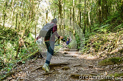 Traveler trekking at Kew Mae Pan Nature Trail,Thailand Editorial Stock Photo