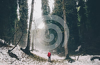 Traveler walking alone at foggy forest Stock Photo