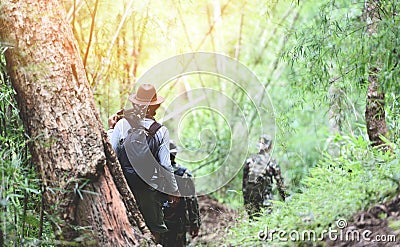 Traveler walking in the bamboo forest / Men hikers mountain group of friends walking with backpacks and photographic equipment Stock Photo