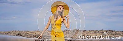 Traveler woman joy fun relaxing on wood bridge looking beautiful destination island. Tourism natural scenic landscape Stock Photo