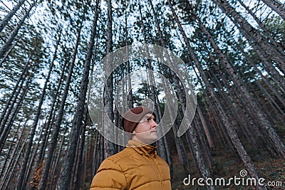 Traveler yellow jacket in a pine forest with tall trees. Leisure Stock Photo