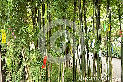 Travelers people join and writing wishes on paper and hang on bamboo tree in Tanabata or Star Japanese festival at Japan village Editorial Stock Photo