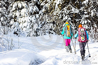 Travelers travel together through beautiful nature in winter. two girls walk through the woods in winter Stock Photo