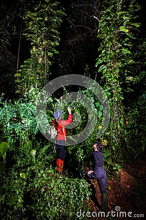 Traveller couple search and explore through tropical rain forest Stock Photo