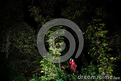 Traveller search and explore through tropical rain forest - Fieldwork Stock Photo