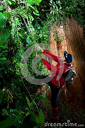 Traveller search and explore through tropical rain forest - Fieldwork Stock Photo