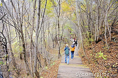 Travellers in autumn forest Editorial Stock Photo