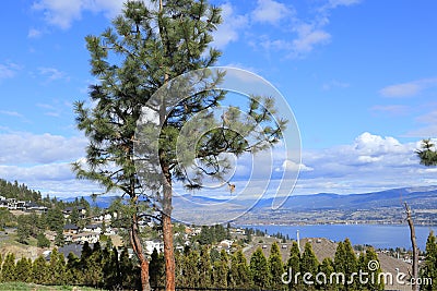 Realestate and Construction Industry -Kelowna British Columbia, Canada Stock Photo