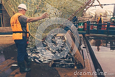 Trawl aboard Editorial Stock Photo