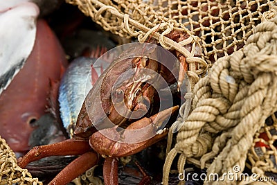 Trawl fisheries Stock Photo