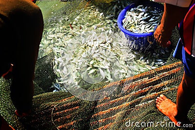 Trawl fishing scene Stock Photo